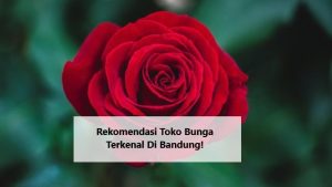 Rekomendasi Toko Bunga Terkenal Di Bandung!