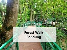 Forest Walk Bandung
